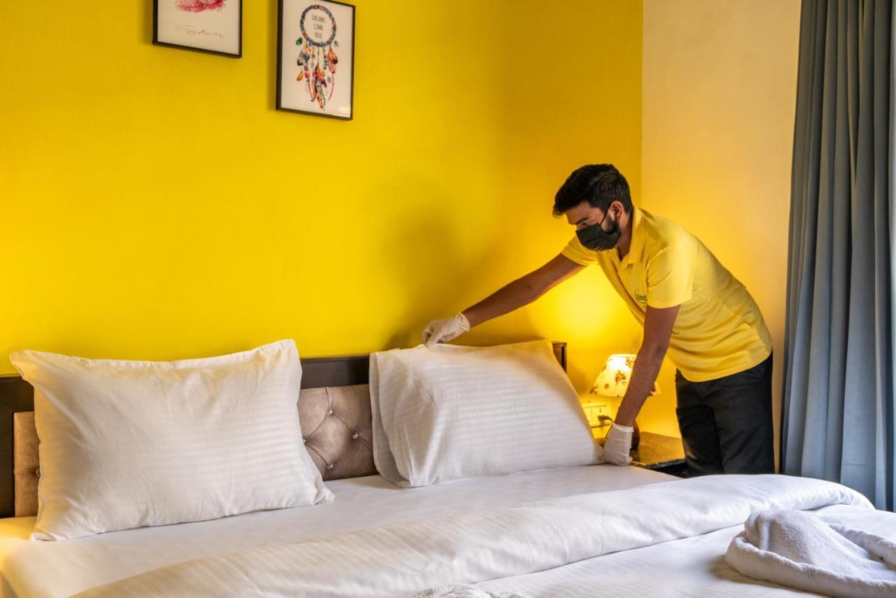 Bed & Breakfast Lime Boutique Gk-1 At Kailash Colony Metro , Greater Kailash Near Eros Nehru Place New Delhi